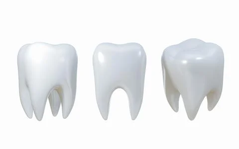 Set of Dental model of clean  tooth, 3D Rendering as a concept of dental ex.. Stock Illustration