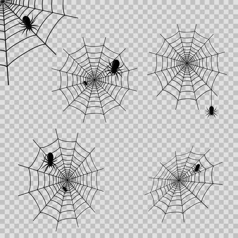 Set of deocrations with spider web and spdiers on transparent background. Vec Stock Illustration