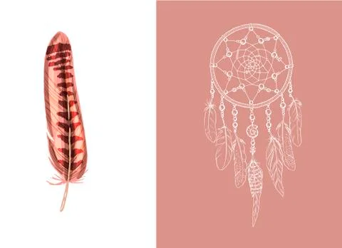 Set of design and decor elements. Detailed colored feather close up isolated  Stock Illustration