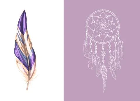 Set of design and decor elements. Detailed colored feather close up isolated  Illustrazione stock