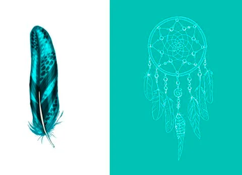 Set of design and decor elements. Detailed colored feather close up isolated  Illustrazione stock