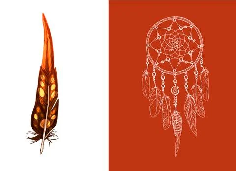 Set of design and decor elements. Detailed colored feather close up isolated  Illustrazione stock