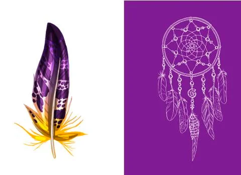 Set of design and decor elements. Detailed colored feather close up isolated  스톡 일러스트