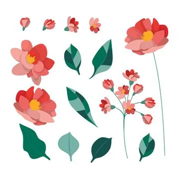 Set of design elements in the form of flowers. Red and pink flowers, green イラスト素材