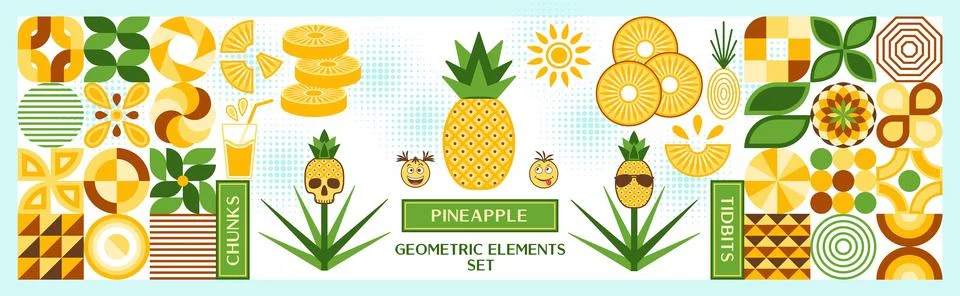 Set of design elements, logo with pineapple in simple geometric style. 스톡 일러스트