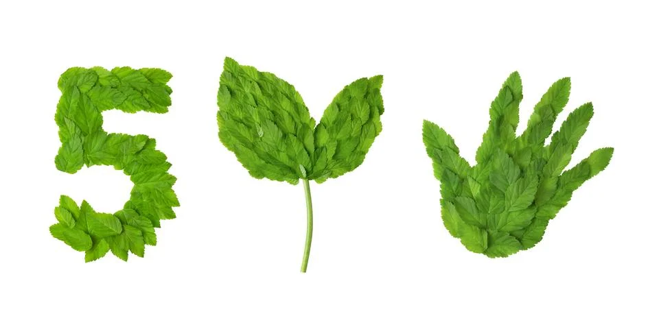 Set of design elements World Environment Stock Photos