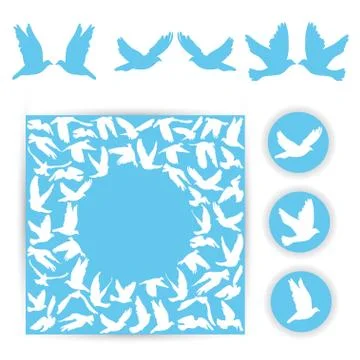 Set design wedding card. white doves on a blue background. silhouette of bird Stock Illustration
