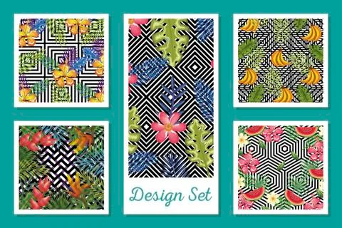 Set designs tropicals in patterns monochromatic geometric Illustrazione stock