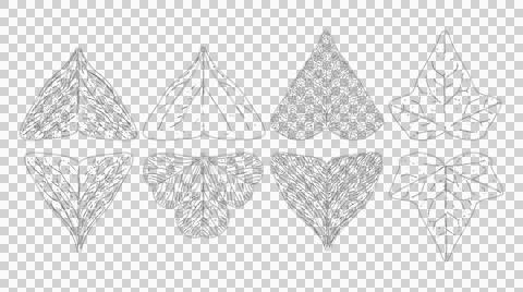 Set of detailed botanical leaf line art illustrations isolated on white bac.. 스톡 일러스트