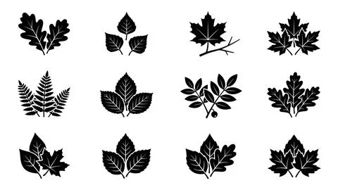 Set of detailed tree leaves vector silhouettes. Stock Illustration