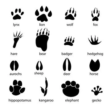 Set of different animal tracks Stock Illustration
