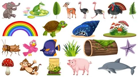 Set of different animals and plants Stock Illustration