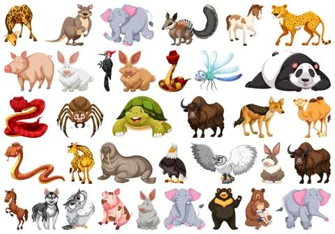Set of different animals Stock Illustration