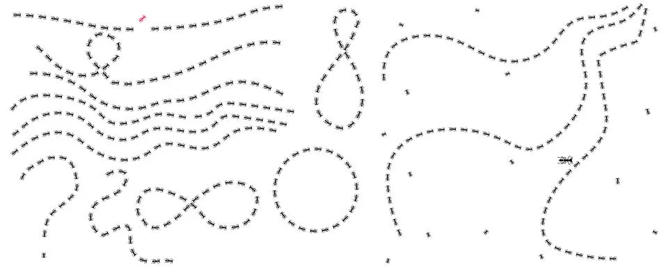 Set of different Ant trail . Insect path Illustrazione stock