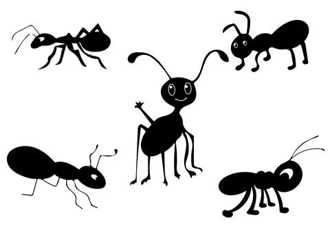 Set of different ants black silhouette illustration - 1 Stock Illustration