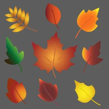 Set of different autumn leaves Illustrazione stock