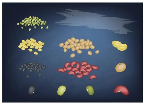 Set of Different Beans on A Chalkboard Illustrazione stock
