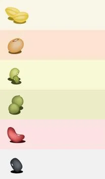 A Set of Different Beans on Multicolor Background Stock Illustration