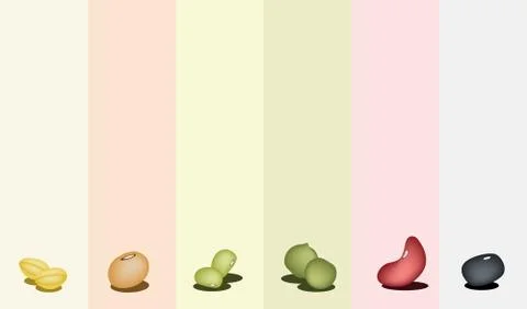 Set of Different Beans on Multicolor Background Illustrazione stock