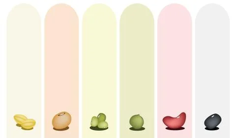 Set of Different Beans on Multicolor Banner Illustrazione stock
