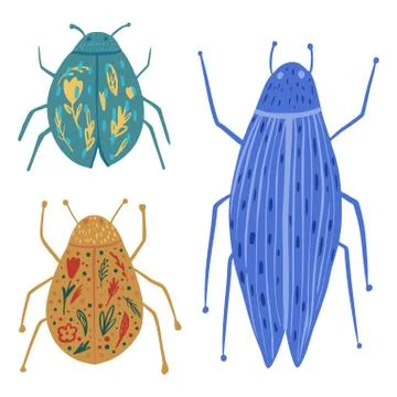 Set different beetles on white background. Abstract insects long, short, with Stock Illustration