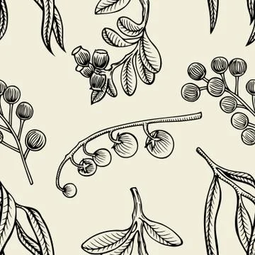 Set different berries Illustrazione stock