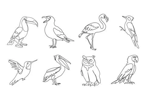 Set of different birds, black line drawing, toucan, seagull, owl, owl, parr.. Stock Illustration