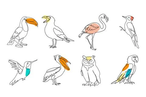 Set of different birds colored, black line drawing, toucan, seagull, owl, o.. Stock Illustration