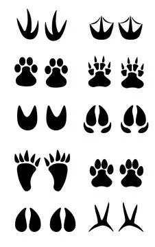 Set of different black animals and bird footprint. Stock Illustration