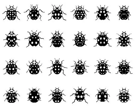 Set of different black ladybugs Stock Illustration