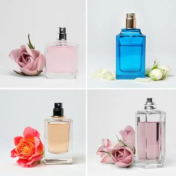Set with different bottles of perfume and flowers on white background Fotos Stock
