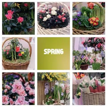 Set of different bouquets of spring flowers. Beautiful bouquet of mixed flowe Stock Photos