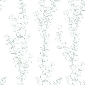 Set of different branches of eucalyptus, seamless pattern and circle frame on Stock-Illustration