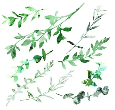 Set of different branches with ink texture Stock Illustration