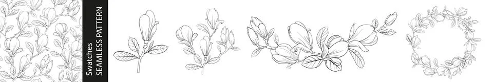 Set of different branches of magnolia, seamless pattern and circle frame on Stock Illustration