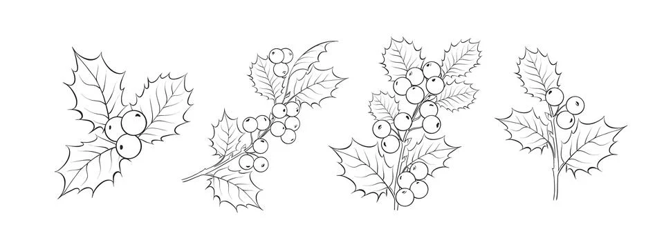 Set of different branches of mistletoe flowers, seamless pattern and circle Stock Illustration