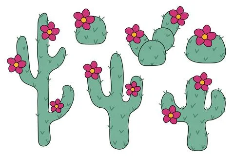 Set of different Cactus plants with flowers. Stock Illustration
