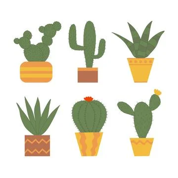 Set of different cactus in pots, flat doodle vector Illustrazione stock