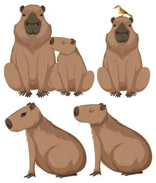 Set of different capybara in cartoon style Stock Illustration