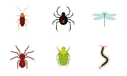 Set of different colored insect icons Vector Stock Illustration
