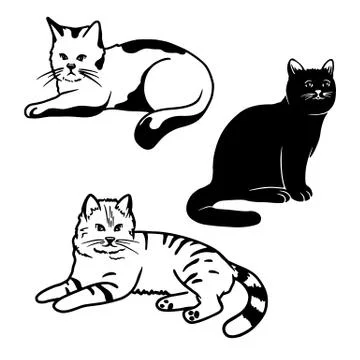 Set of different cute cats isolated on a white background. Vector Stock Illustration