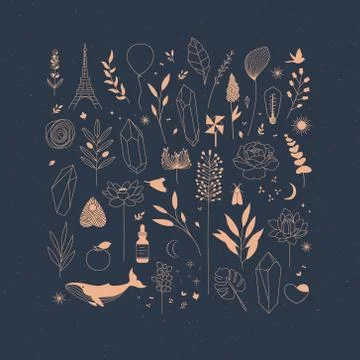 Set of different decorative elements blue Stock Illustration