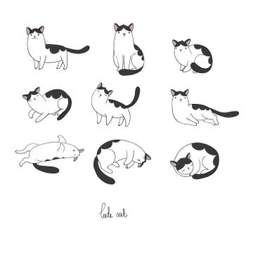 Set of different doodle poses cat. Pets Stock Illustration