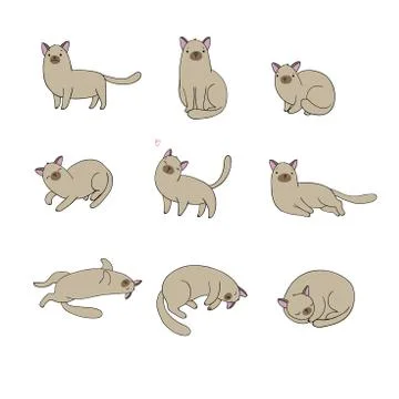Set of different doodle poses cat. Pets Stock Illustration