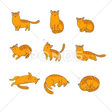 Set of different doodle poses cat. Pets Stock Illustration