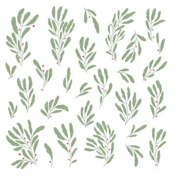 Set different elegant green branch, seeds, leaves Stock Illustration
