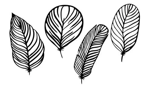 Set of different feathers handwritten in black and white Stock Illustration