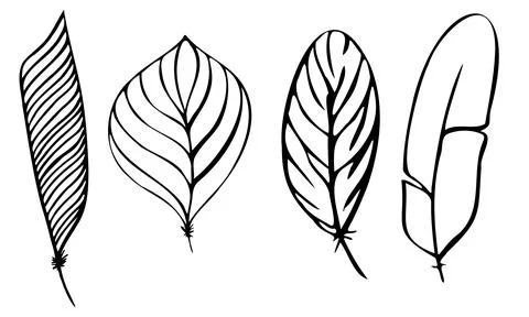 Set of different feathers handwritten in black and white Stock Illustration