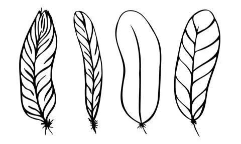 Set of different feathers handwritten in black and white Illustrazione stock