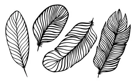 Set of different feathers handwritten in black and white Stock Illustration